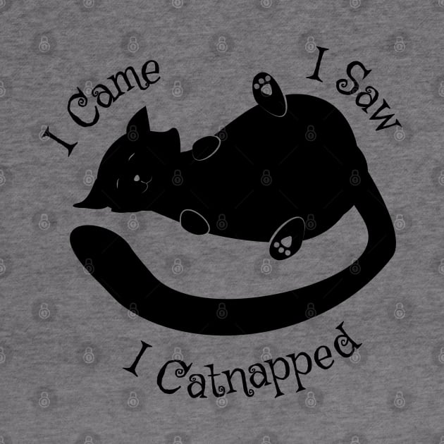 I Came I Saw Catnapped Cute Cat by atomguy